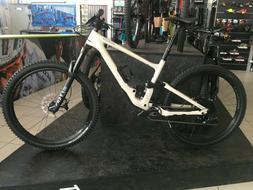 2020 Specialized Enduro Elite Carbon 29