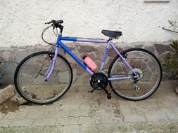 Con Cambio Shimano - No Cineserie