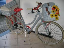 bici da donna con cambio, portapacchi anteriore e posteriore