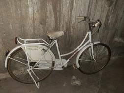 Bici Holland Gardengo