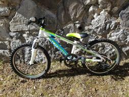 Bambino Haibike 20"