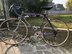 Bici Vintage Corsa Anni 70 Chesini 28 Alluminio
