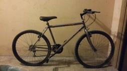 City Bike Adulto
