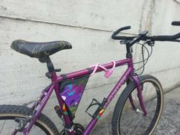 Mountain Bike Ragazzo Bottecchia