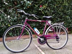 Atala Vintage Bici Uomo 28" Country Since 1998
