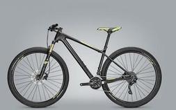 FOCUS RAVEN LTD CARBON SHIMANO XT MIX 2x10 speed NEW