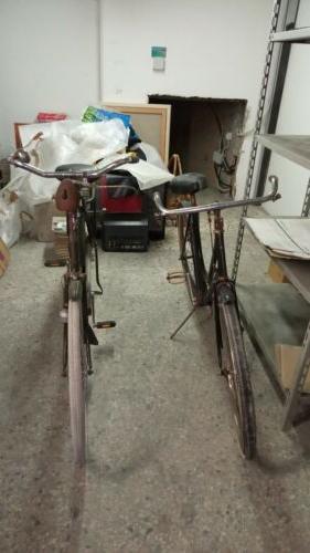 2 bici pon pon olandese e da