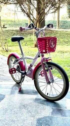 bici bambina 4 5 6 anni ruote