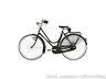 bici bicicletta retro epoca vintage dei regale