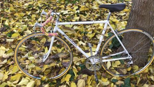 bici da corsa sport campagnolo