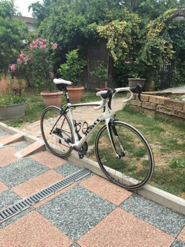 bici strada corsa domane 4 7 carbonio