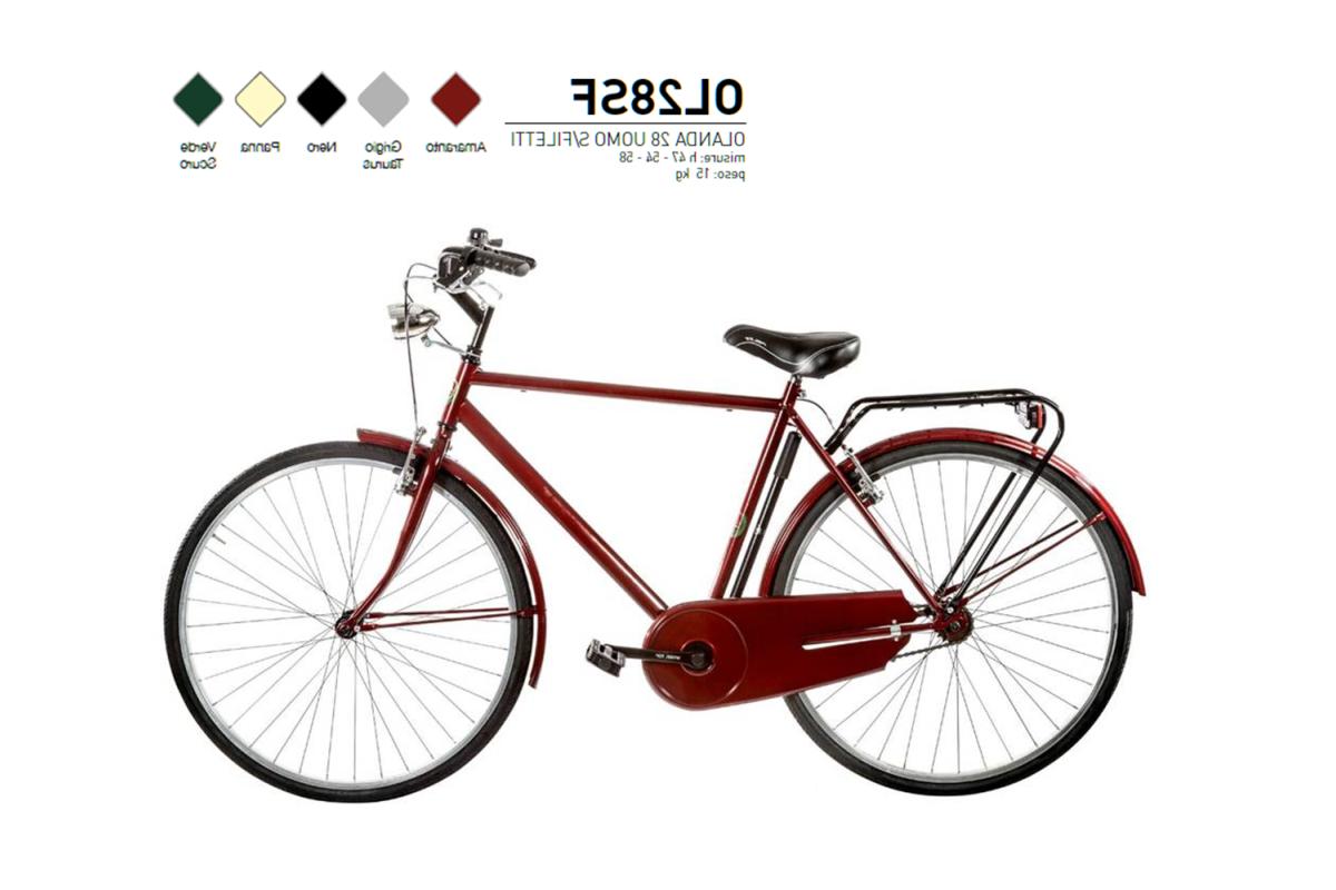 bicicletta bici 28 uomo senza filetti classica