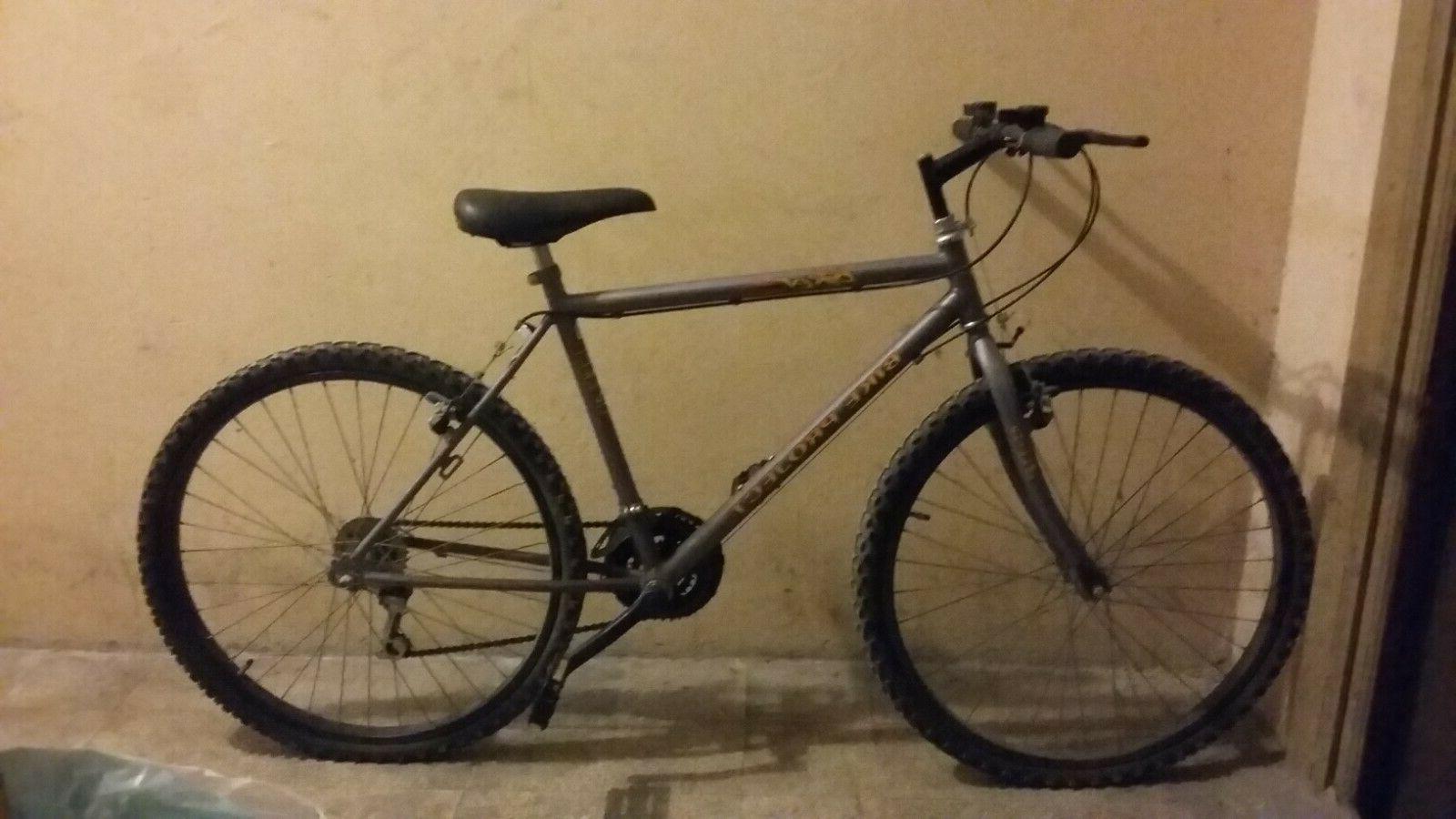 bicicletta city bike adulto