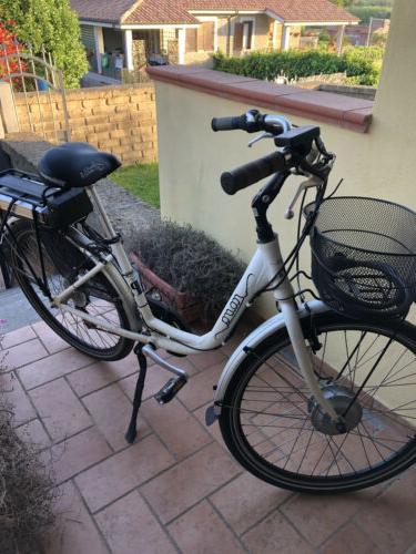 bicicletta elettrica pedalata assistita