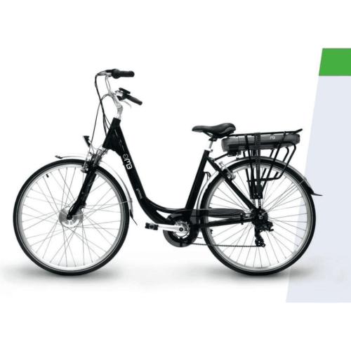 bicicletta elettrica pedalata assistita e bike 250
