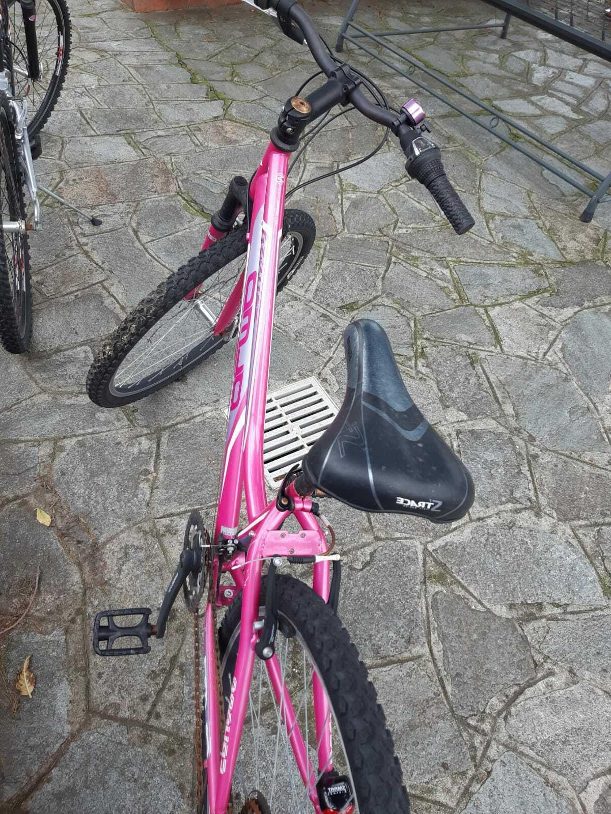 bicicletta mtb frame