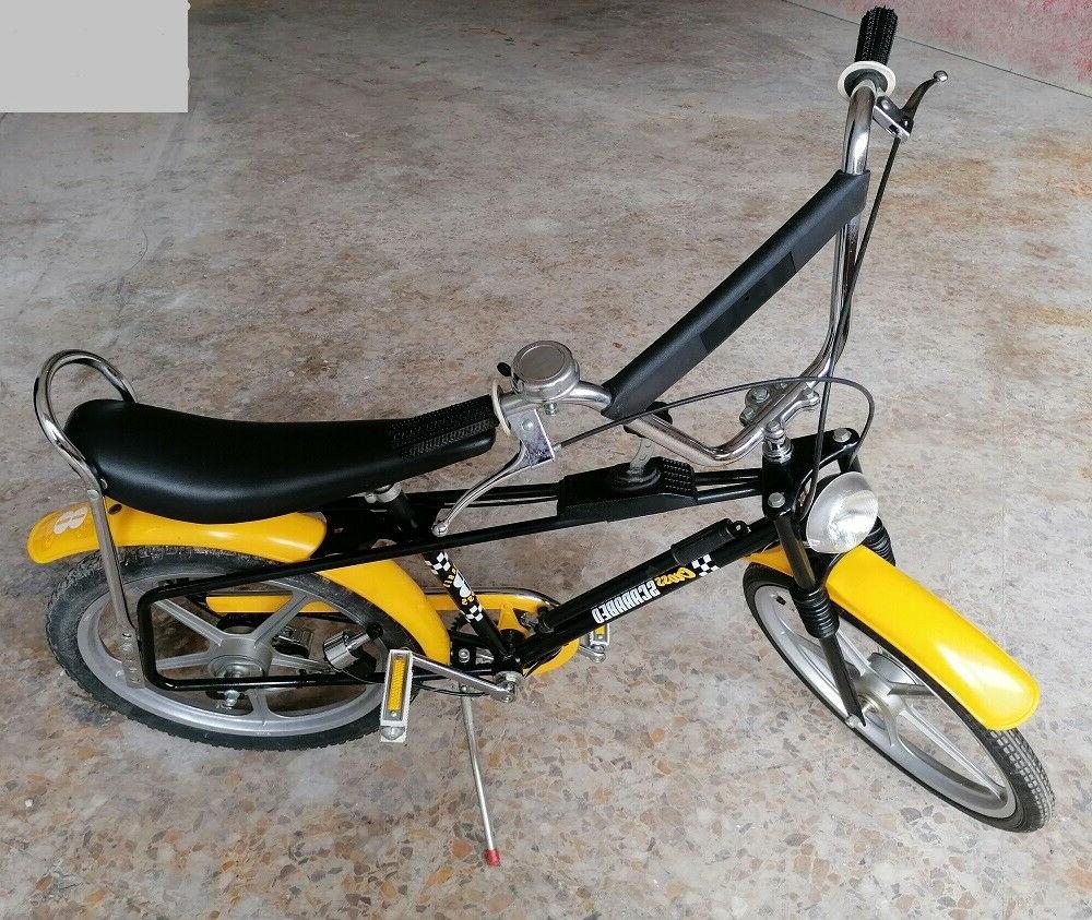 bicicletta scarabeo bambino con cambio d 20