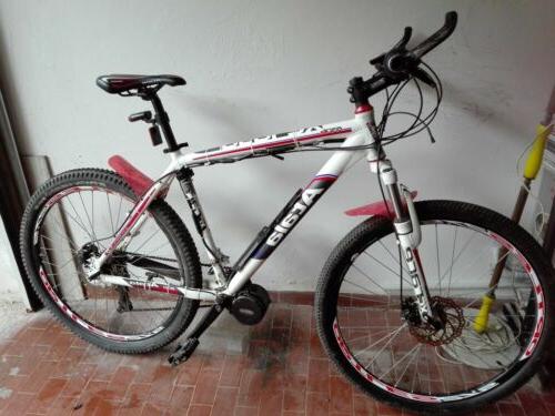 mountain bike elettrica