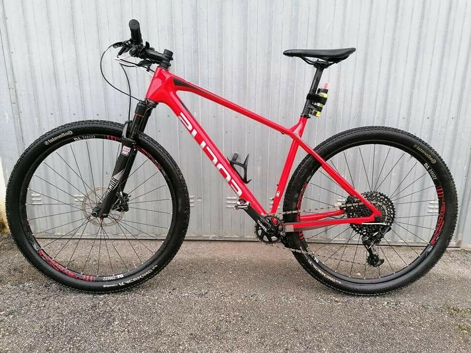 mtb 29 raven