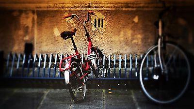quadri moderni poster 100x140 bici arte bicicletta