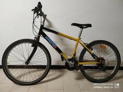 montainbike, usata, da ragazzo, gialla e nera