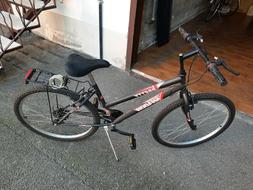 Mountain bike Pretty Shadow grigia da donna/bambino 15 cambi