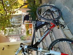 mtb cannodale flash
