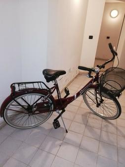 Nuovissima City bike donna D28