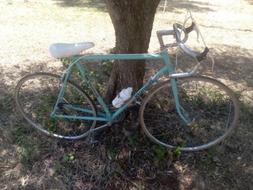 Bianchi Sprint 28t