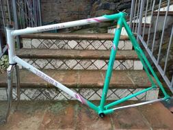 Vintage Moser Campione Del Mondo 1991 Bugno Telaio E Forcell